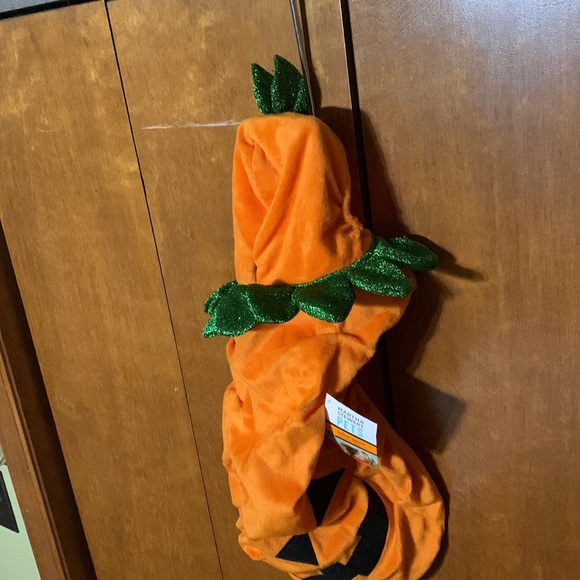 MARTHA STEWART- Large Pumpkin 🎃 Dog Costume - Picture 4 of 6